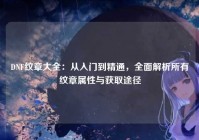 DNF纹章大全：从入门到精通，全面解析所有纹章属性与获取途径