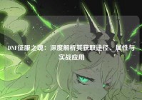 DNF征服之魂：深度解析其获取途径、属性与实战应用