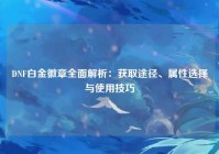 DNF白金徽章全面解析：获取途径、属性选择与使用技巧