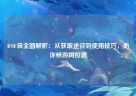 DNF袋全面解析：从获取途径到使用技巧，助你畅游阿拉德