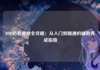 DNF奶爸视频全攻略：从入门到精通的辅助养成指南