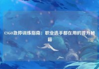 CSGO急停训练指南:职业选手都在用的提升秘籍