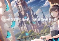 CSGO紫色手套市场分析：稀有物品的投资价值