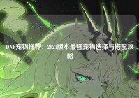DNF宠物推荐：2023版本最强宠物选择与搭配攻略