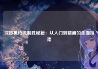 沈妙机枪流制胜秘籍:从入门到精通的全面指南