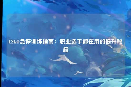 CSGO急停训练指南:职业选手都在用的提升秘籍