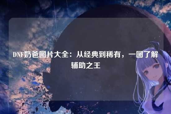 DNF奶爸图片大全：从经典到稀有，一图了解辅助之王